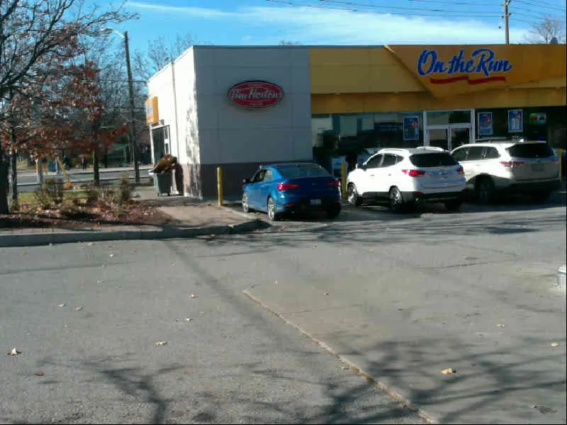 Tim Hortons at 4000 Finch Avenue East, Scarborough