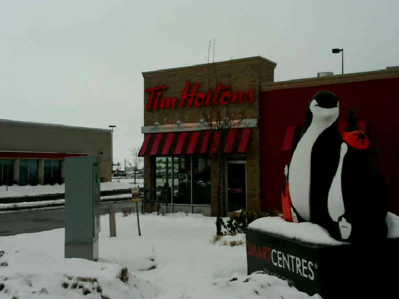 Tim Hortons at 530-544 Holland St W, Bradford