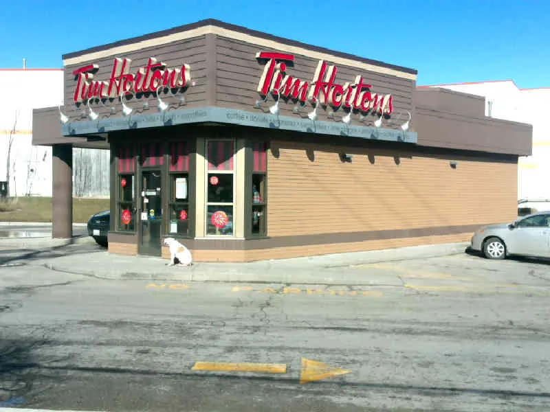 Tim Hortons at 564 Fanshawe Park Rd East, London