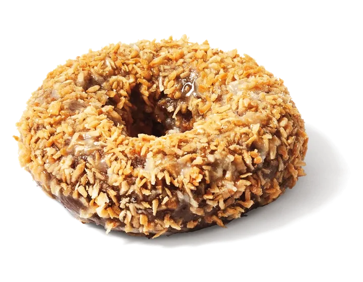 Chocolate Toasted Coconut Donut