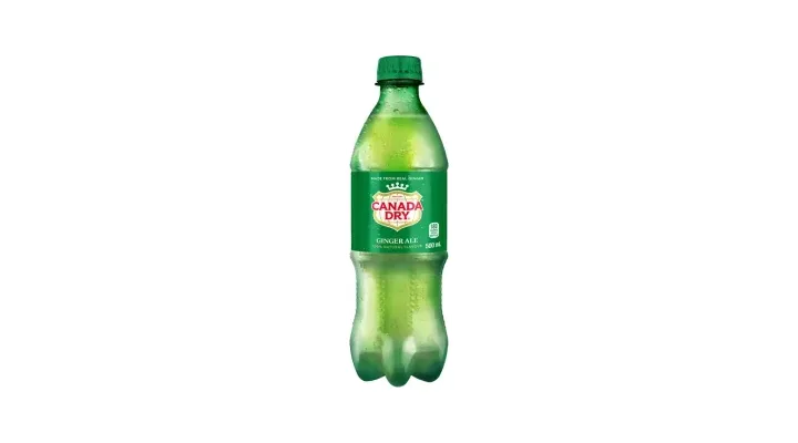 Canada Dry Ginger Ale 500mL Bottle