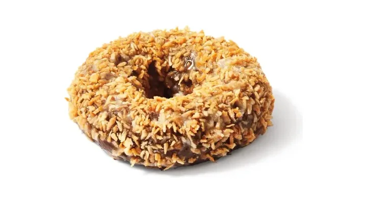 Chocolate Toasted Coconut Donut